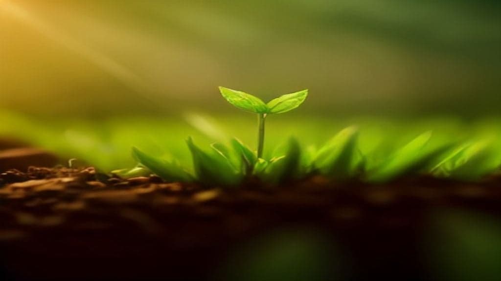 Blessings for New Beginnings